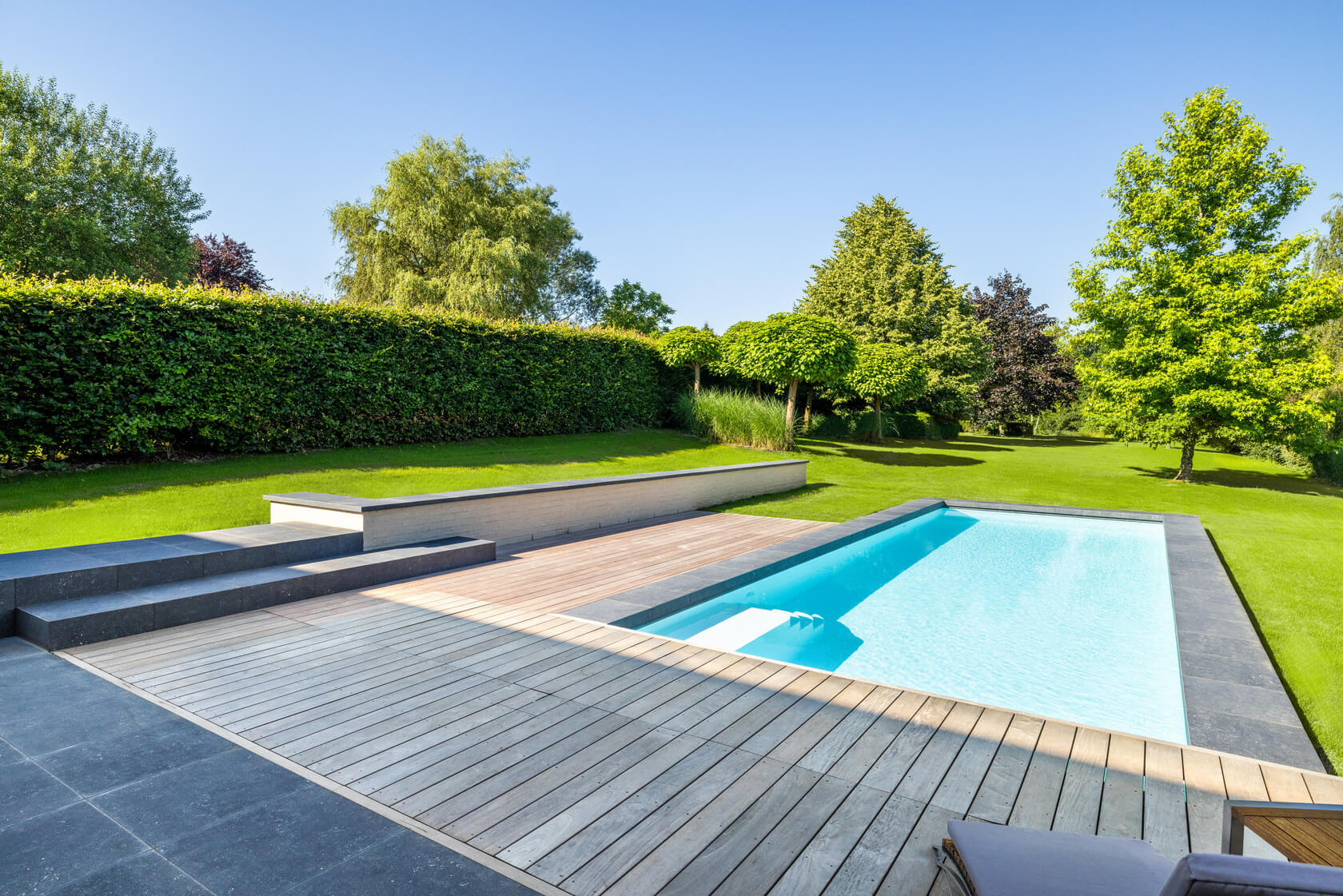 piscine haie jardin