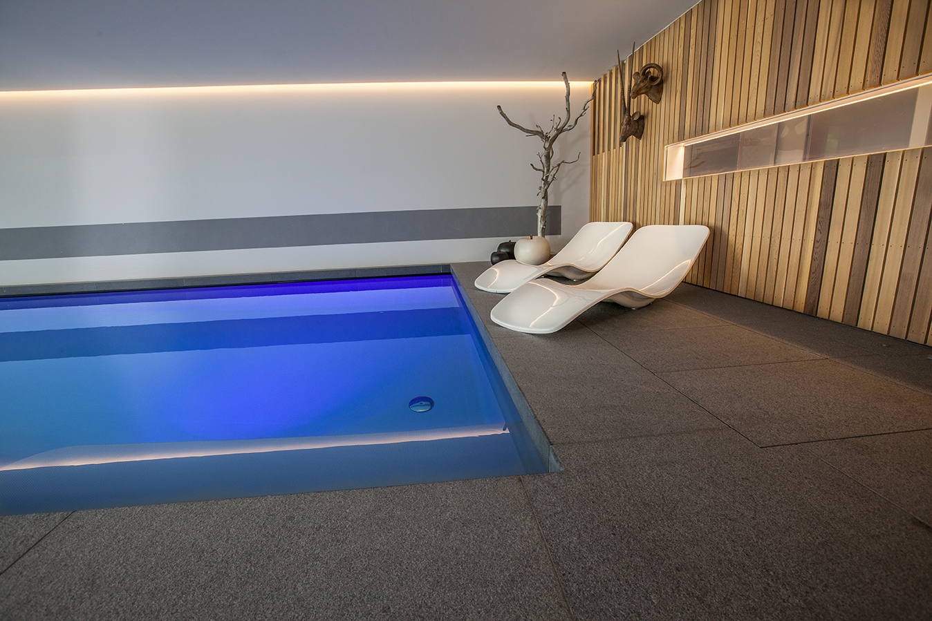 Choisir l'élégance d'une piscine à débordement